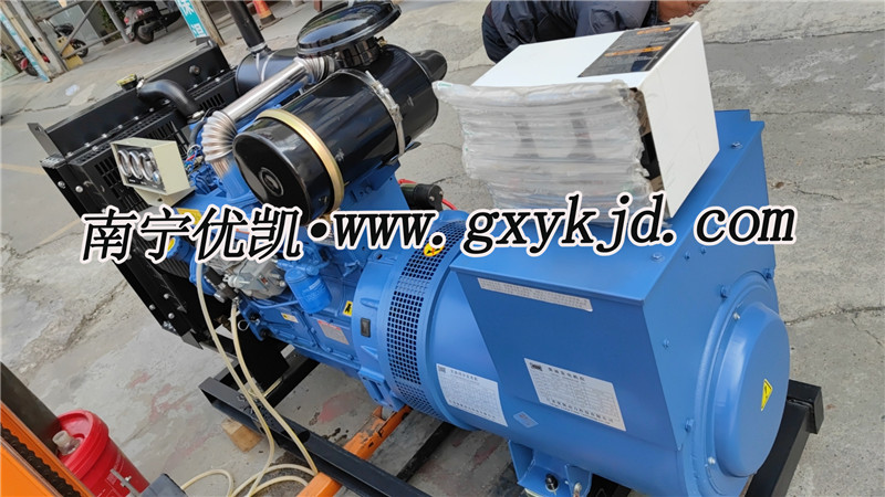 50KW雷纳发电机组