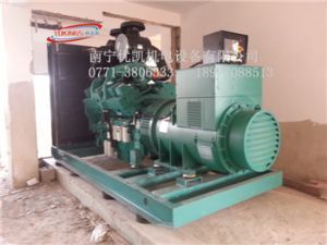 700KW重庆康明斯 · 百货公司物流中心