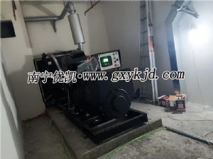 2022年6月18日，300KW上海凯普发电机组交付东兰县某项目使用